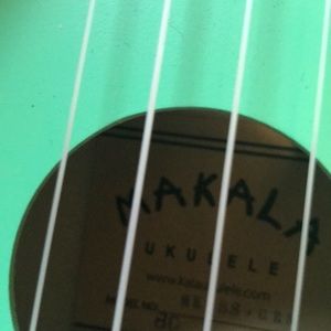 Meet your Posher, Rose